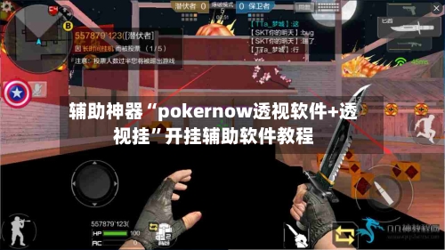 辅助神器“pokernow透视软件+透视挂”开挂辅助软件教程-第1张图片
