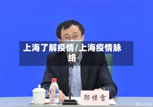 上海了解疫情/上海疫情脉络-第2张图片