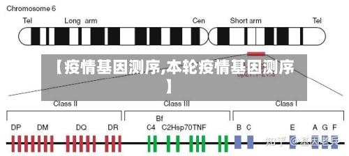 【疫情基因测序,本轮疫情基因测序】-第1张图片