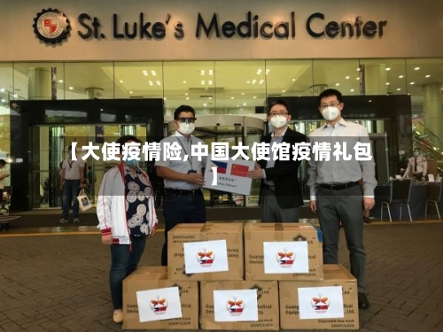 【大使疫情险,中国大使馆疫情礼包】-第3张图片