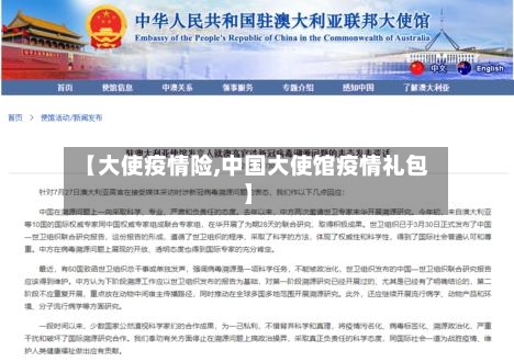 【大使疫情险,中国大使馆疫情礼包】-第2张图片