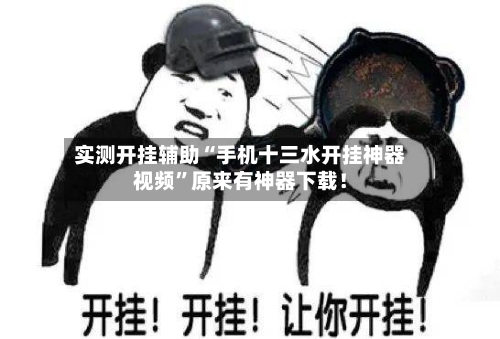 实测开挂辅助“手机十三水开挂神器视频”原来有神器下载！-第1张图片