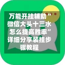 万能开挂辅助“微信大头十三水怎么提高胜率	”详细分享装挂步骤教程-第1张图片