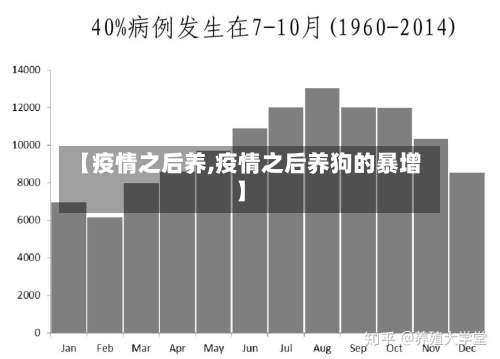 【疫情之后养,疫情之后养狗的暴增】-第1张图片