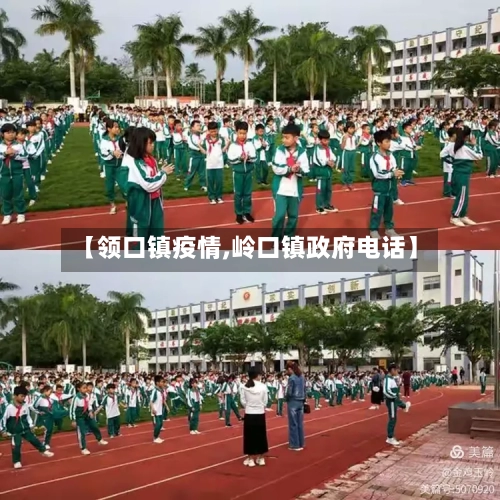 【领口镇疫情,岭口镇政府电话】-第1张图片