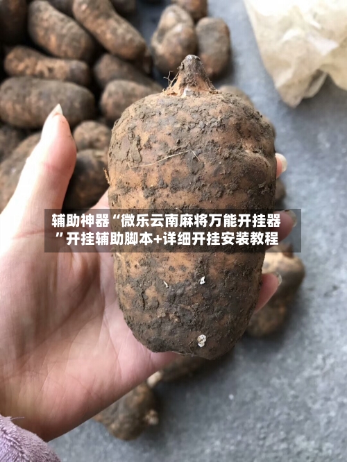 辅助神器“微乐云南麻将万能开挂器	”开挂辅助脚本+详细开挂安装教程-第1张图片