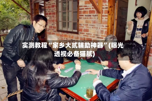 实测教程“家乡大贰辅助神器	”(曝光透视必备猫腻)-第1张图片
