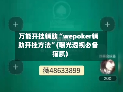 万能开挂辅助“wepoker辅助开挂方法”(曝光透视必备猫腻)-第1张图片