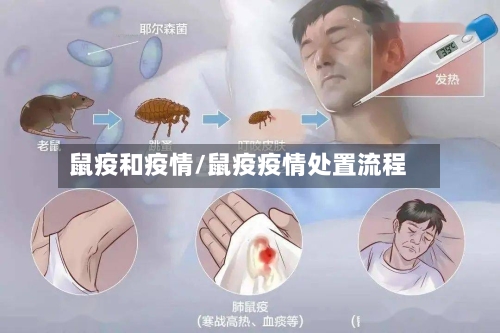 鼠疫和疫情/鼠疫疫情处置流程-第1张图片