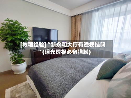 [教程经验]“新永和大厅有透视挂吗”(曝光透视必备猫腻)-第1张图片