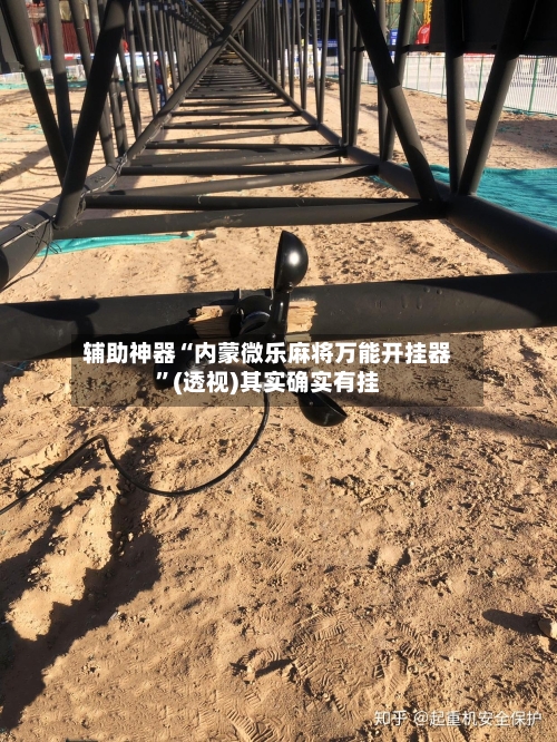 辅助神器“内蒙微乐麻将万能开挂器	”(透视)其实确实有挂-第1张图片