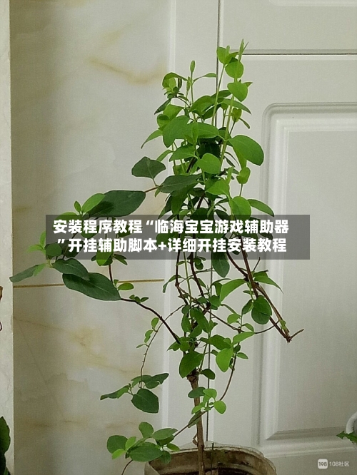 安装程序教程“临海宝宝游戏辅助器”开挂辅助脚本+详细开挂安装教程-第1张图片