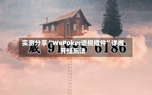实测分享“WePoker透视插件”详细开挂玩法-第1张图片
