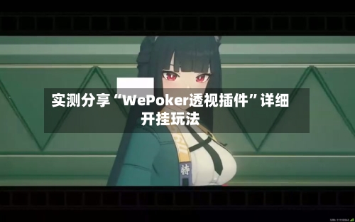 实测分享“WePoker透视插件	”详细开挂玩法-第2张图片