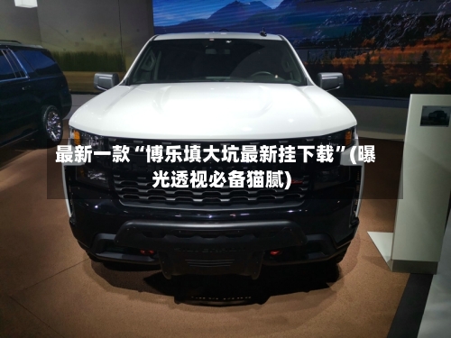 最新一款“博乐填大坑最新挂下载”(曝光透视必备猫腻)-第2张图片