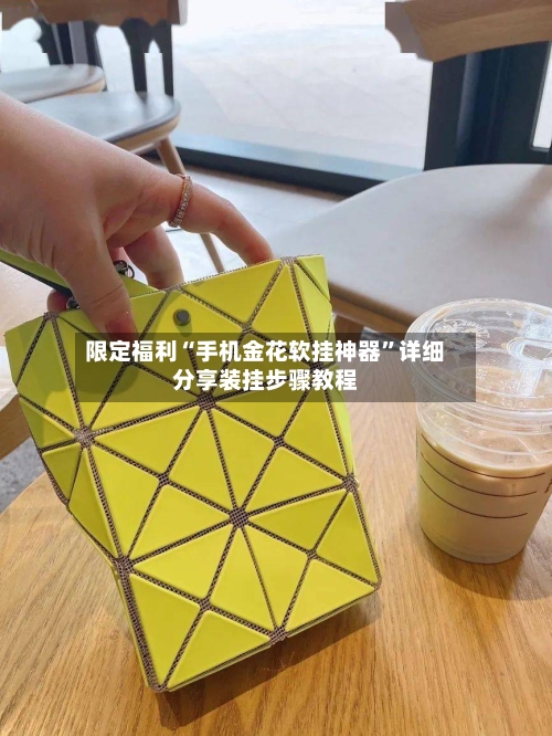 限定福利“手机金花软挂神器”详细分享装挂步骤教程-第1张图片