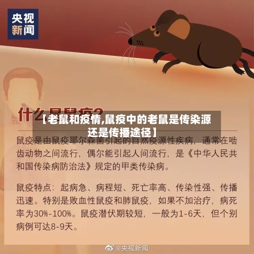 【老鼠和疫情,鼠疫中的老鼠是传染源还是传播途径】-第1张图片