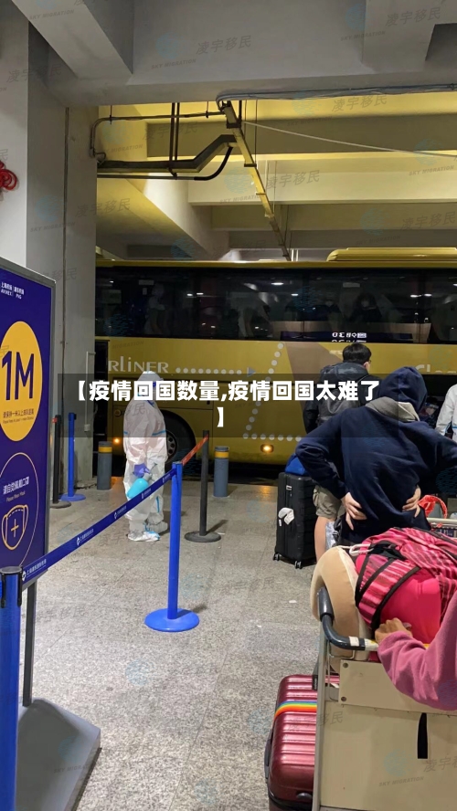 【疫情回国数量,疫情回国太难了】-第1张图片