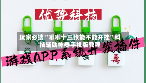 玩家必搜“嘟嘟十三张能不能开挂”科技辅助神器手机版教程-第1张图片