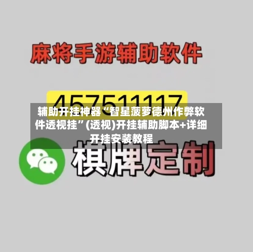 辅助开挂神器“智星菠萝德州作弊软件透视挂	”(透视)开挂辅助脚本+详细开挂安装教程-第1张图片