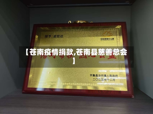【苍南疫情捐款,苍南县慈善总会】-第2张图片