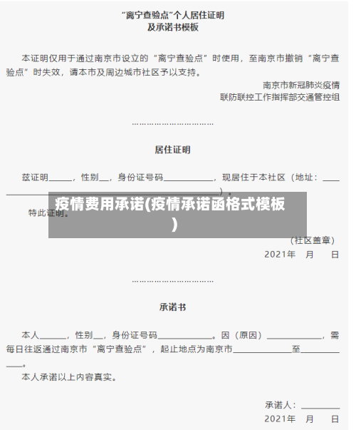 疫情费用承诺(疫情承诺函格式模板)-第1张图片