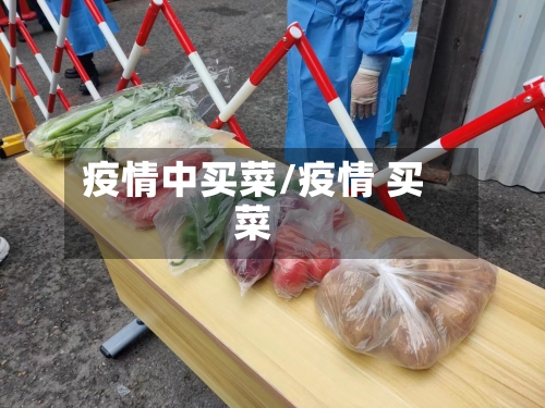 疫情中买菜/疫情 买菜-第1张图片