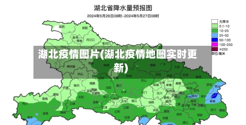 湖北疫情图片(湖北疫情地图实时更新)-第1张图片
