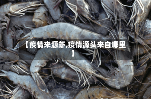 【疫情来源虾,疫情源头来自哪里】-第1张图片