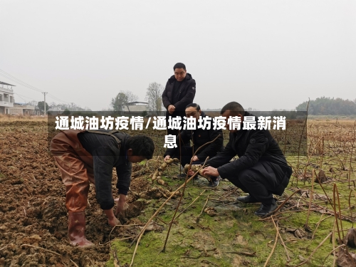 通城油坊疫情/通城油坊疫情最新消息-第1张图片