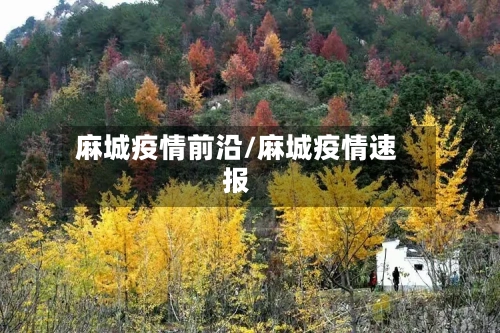 麻城疫情前沿/麻城疫情速报-第1张图片