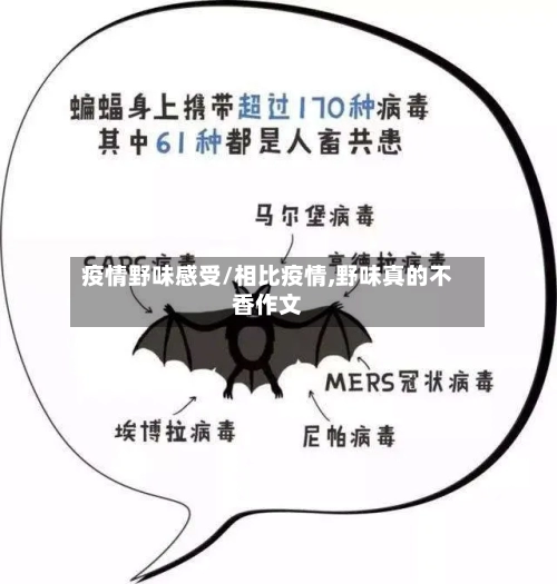 疫情野味感受/相比疫情,野味真的不香作文-第1张图片
