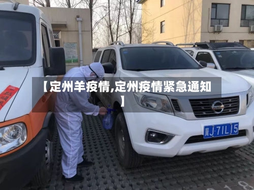 【定州羊疫情,定州疫情紧急通知】-第1张图片