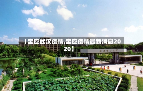 【宝应武汉疫情,宝应疫情最新消息2020】-第1张图片