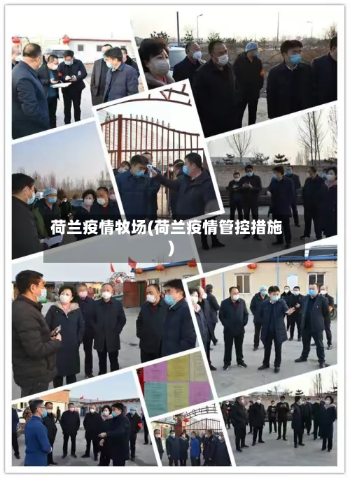 荷兰疫情牧场(荷兰疫情管控措施)-第1张图片