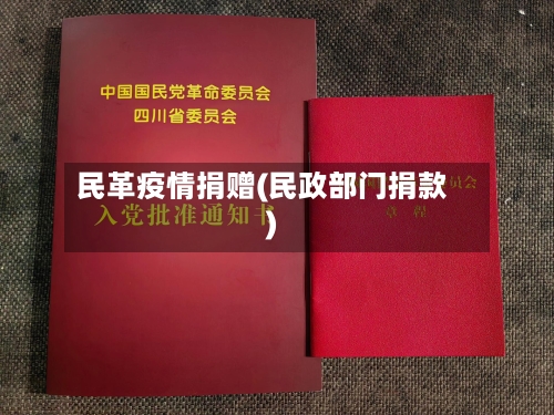 民革疫情捐赠(民政部门捐款)-第3张图片