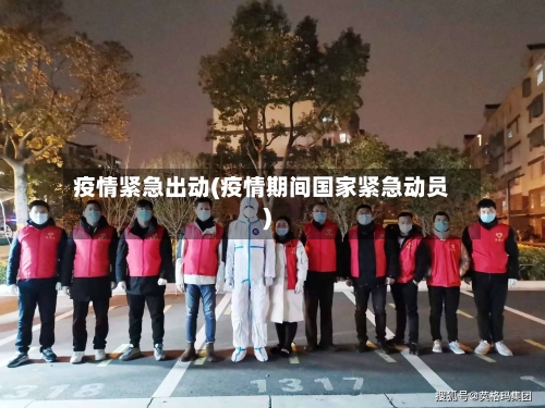 疫情紧急出动(疫情期间国家紧急动员)-第2张图片