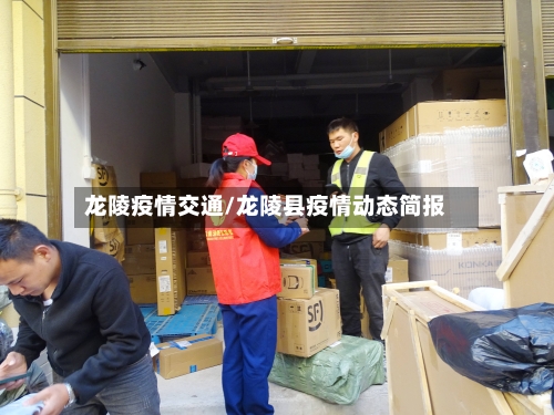 龙陵疫情交通/龙陵县疫情动态简报-第3张图片