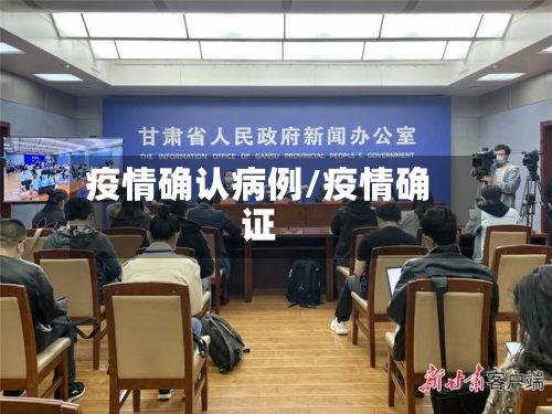 疫情确认病例/疫情确证-第1张图片