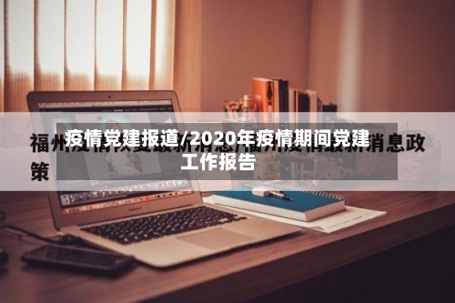 疫情党建报道/2020年疫情期间党建工作报告-第2张图片