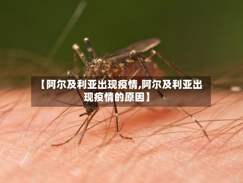 【阿尔及利亚出现疫情,阿尔及利亚出现疫情的原因】-第1张图片