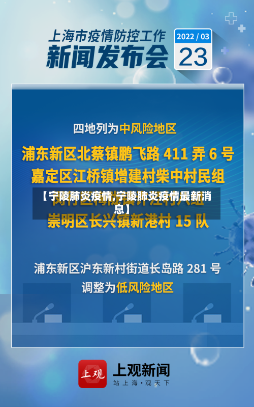 【宁陵肺炎疫情,宁陵肺炎疫情最新消息】-第3张图片