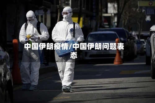 中国伊朗疫情/中国伊朗问题表态-第2张图片