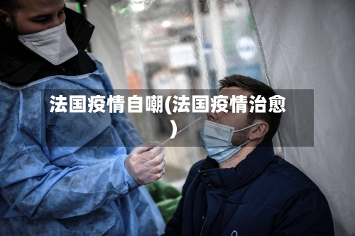 法国疫情自嘲(法国疫情治愈)-第2张图片
