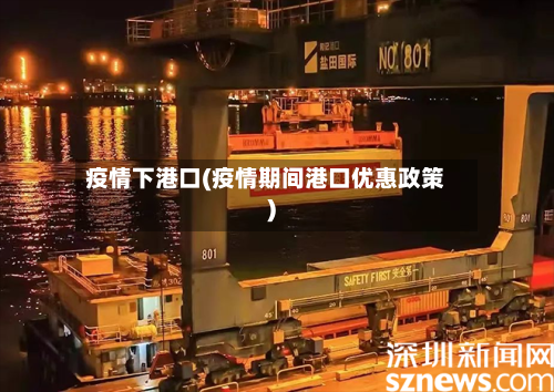 疫情下港口(疫情期间港口优惠政策)-第1张图片