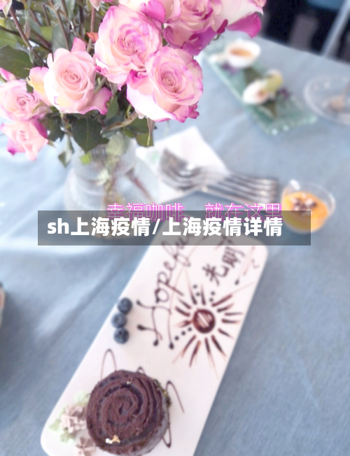 sh上海疫情/上海疫情详情-第1张图片