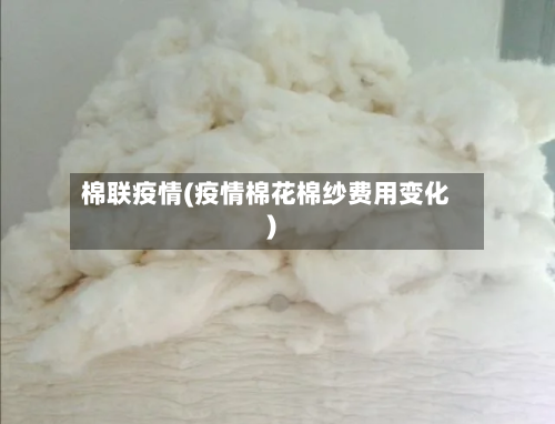 棉联疫情(疫情棉花棉纱费用变化)-第1张图片