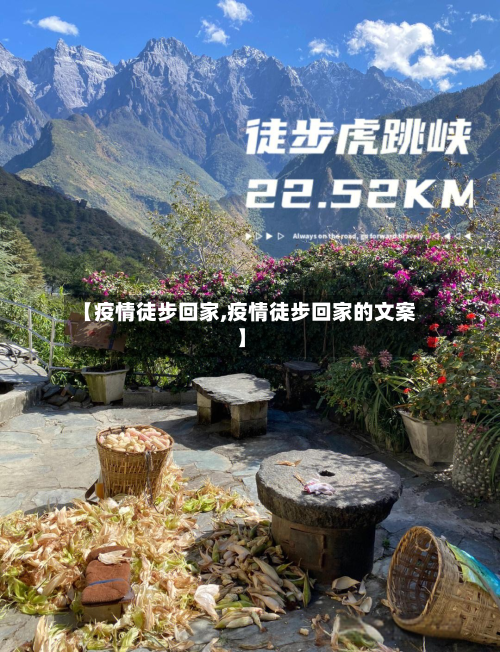 【疫情徒步回家,疫情徒步回家的文案】-第1张图片