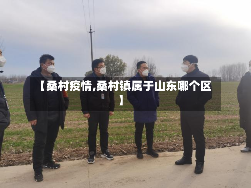【桑村疫情,桑村镇属于山东哪个区】-第2张图片