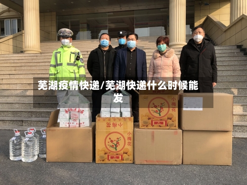 芜湖疫情快递/芜湖快递什么时候能发-第2张图片